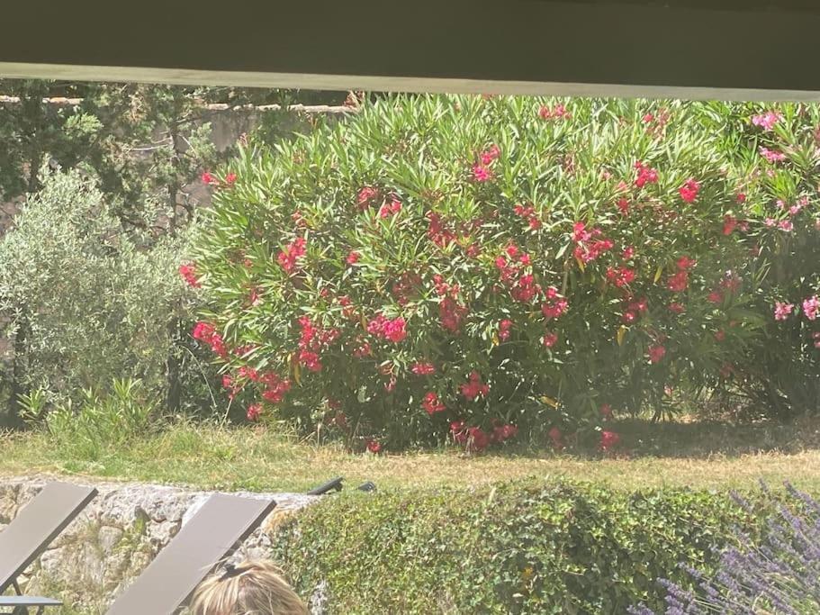 Ar De Vie Villa Chaleureuse En Provence Ventabren Exterior foto